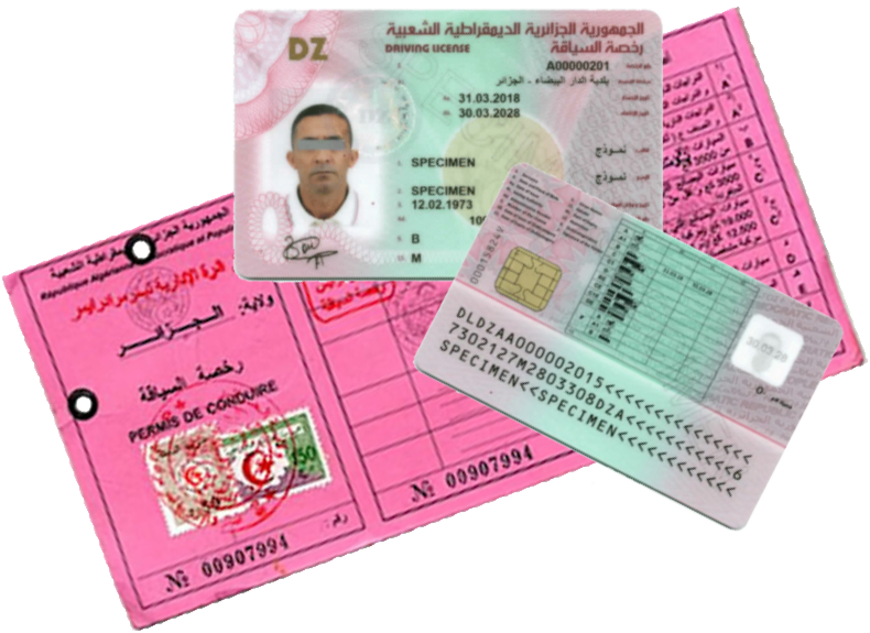 Algerian driver licence